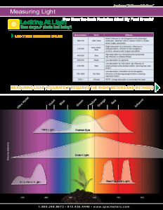 Light Brochure
